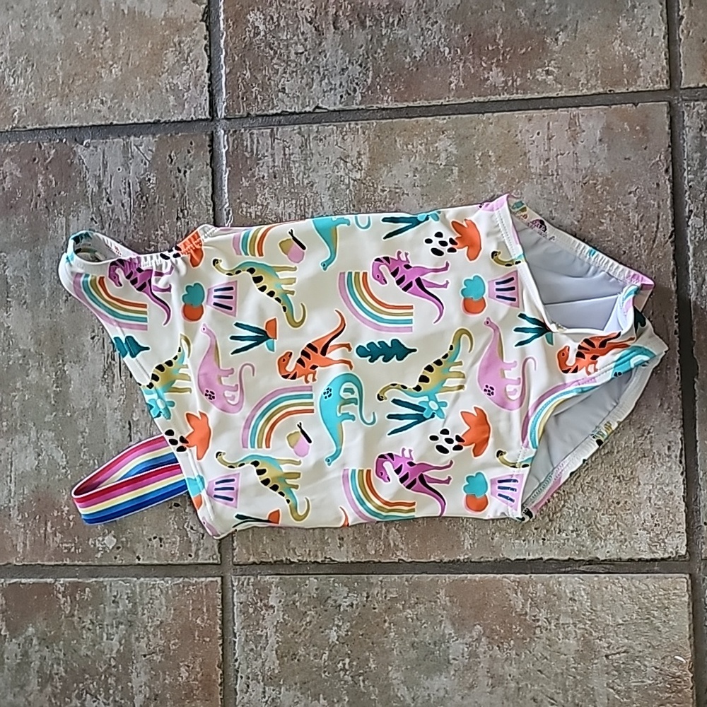 Hanna Andersson size 4 Dinosaur swimsuit